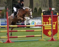 Srebrny medal Anheliki