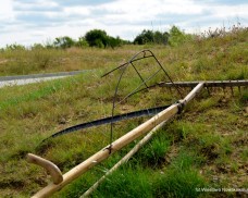 I Mistrzostwa Polski w Koszeniu Zboża Metodą Tradycyjną