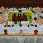 10-lecie ŚDS w Trzebuniu