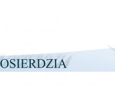 Wycieczki w 2016 roku