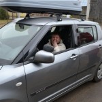 "Kierować każdy może"