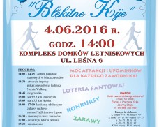 Zapraszamy na Festyn “Błękitne Kije”