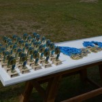 I Festyn Błękitne Kije w Dziemianach