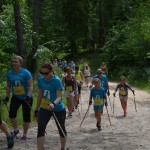 I Festyn Błękitne Kije w Dziemianach