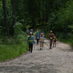 I Festyn Błękitne Kije w Dziemianach