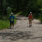 I Festyn Błękitne Kije w Dziemianach