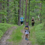 I Festyn Błękitne Kije w Dziemianach