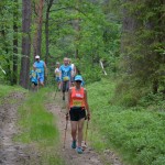 I Festyn Błękitne Kije w Dziemianach