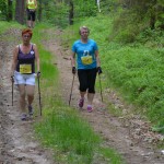 I Festyn Błękitne Kije w Dziemianach