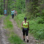 I Festyn Błękitne Kije w Dziemianach