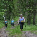 I Festyn Błękitne Kije w Dziemianach