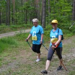 I Festyn Błękitne Kije w Dziemianach