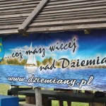 I Festyn Błękitne Kije w Dziemianach