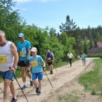 I Festyn Błękitne Kije w Dziemianach