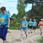 I Festyn Błękitne Kije w Dziemianach