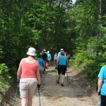 I Festyn Błękitne Kije w Dziemianach