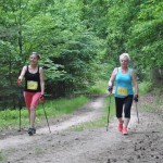 I Festyn Błękitne Kije w Dziemianach