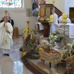 Dożynki Gminno – Parafialne – Dziemiany 2016