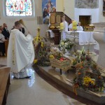 Dożynki Gminno – Parafialne – Dziemiany 2016