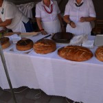 Dożynki Gminno – Parafialne – Dziemiany 2016