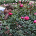 Różanka - Szczecin