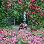 Różanka - Szczecin (2)