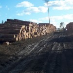 70 dni po nawałnicy