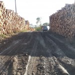 70 dni po nawałnicy