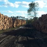 70 dni po nawałnicy