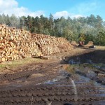 70 dni po nawałnicy