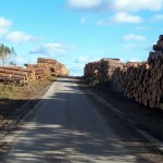 70 dni po nawałnicy