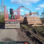 70 dni po nawałnicy