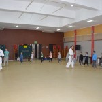 Zajęcia karate