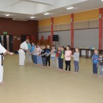 Zajęcia karate