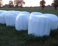 BEZPŁATNA ZBIÓRKA FOLII ROLNICZYCH