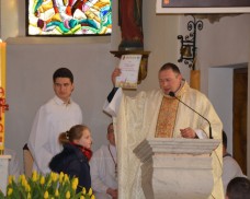 Wyniki konkursu na Najpiękniejszą Palmę Wielkanocną