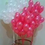 Obchody 20. rocznicy nadania szkole imienia generała Stanisława Sosabowskiego