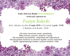Festyn Sołecki w Raduniu