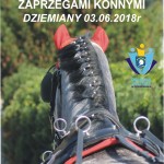 III Mistrzostwa Kaszub w Powożeniu Zaprzęgami Konnymi
