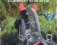 III Mistrzostwa Kaszub w Powożeniu Zaprzęgami Konnymi