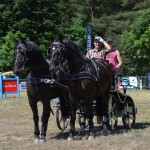 III Mistrzostwa Kaszub W Powożeniu Zaprzęgami Konnymi