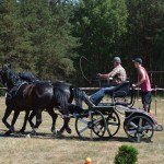 III Mistrzostwa Kaszub W Powożeniu Zaprzęgami Konnymi
