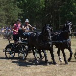 III Mistrzostwa Kaszub W Powożeniu Zaprzęgami Konnymi