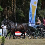 III Mistrzostwa Kaszub W Powożeniu Zaprzęgami Konnymi
