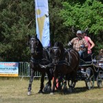 III Mistrzostwa Kaszub W Powożeniu Zaprzęgami Konnymi