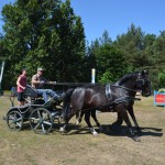 III Mistrzostwa Kaszub W Powożeniu Zaprzęgami Konnymi