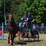 III Mistrzostwa Kaszub W Powożeniu Zaprzęgami Konnymi