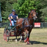 III Mistrzostwa Kaszub W Powożeniu Zaprzęgami Konnymi