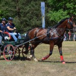 III Mistrzostwa Kaszub W Powożeniu Zaprzęgami Konnymi