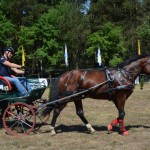 III Mistrzostwa Kaszub W Powożeniu Zaprzęgami Konnymi